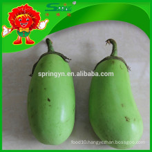 2015 organic fruit egg plant for health and skin beatuy